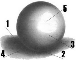 Поэтапная моделировка формы шара